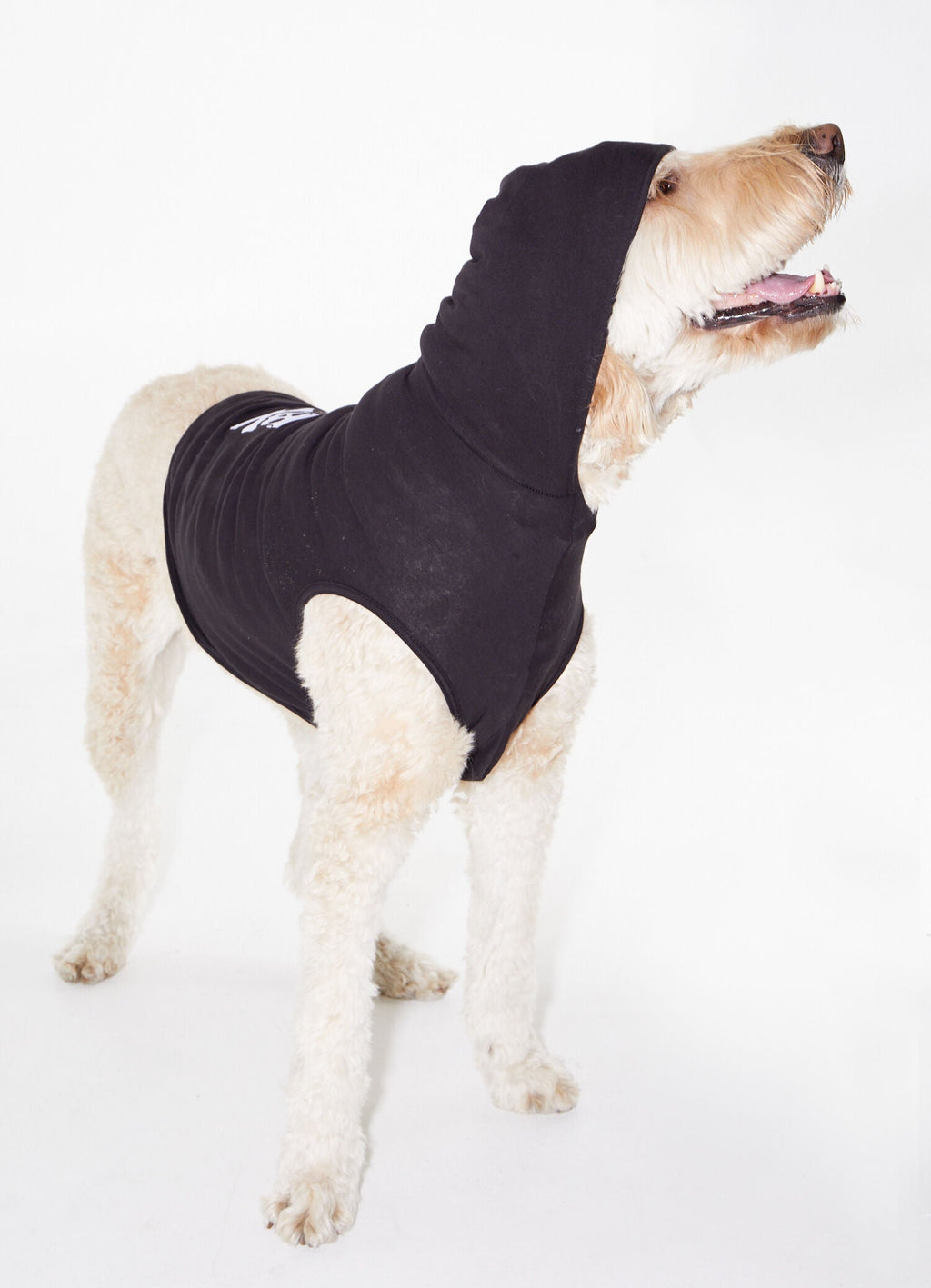 DOG SWEATER BLACK