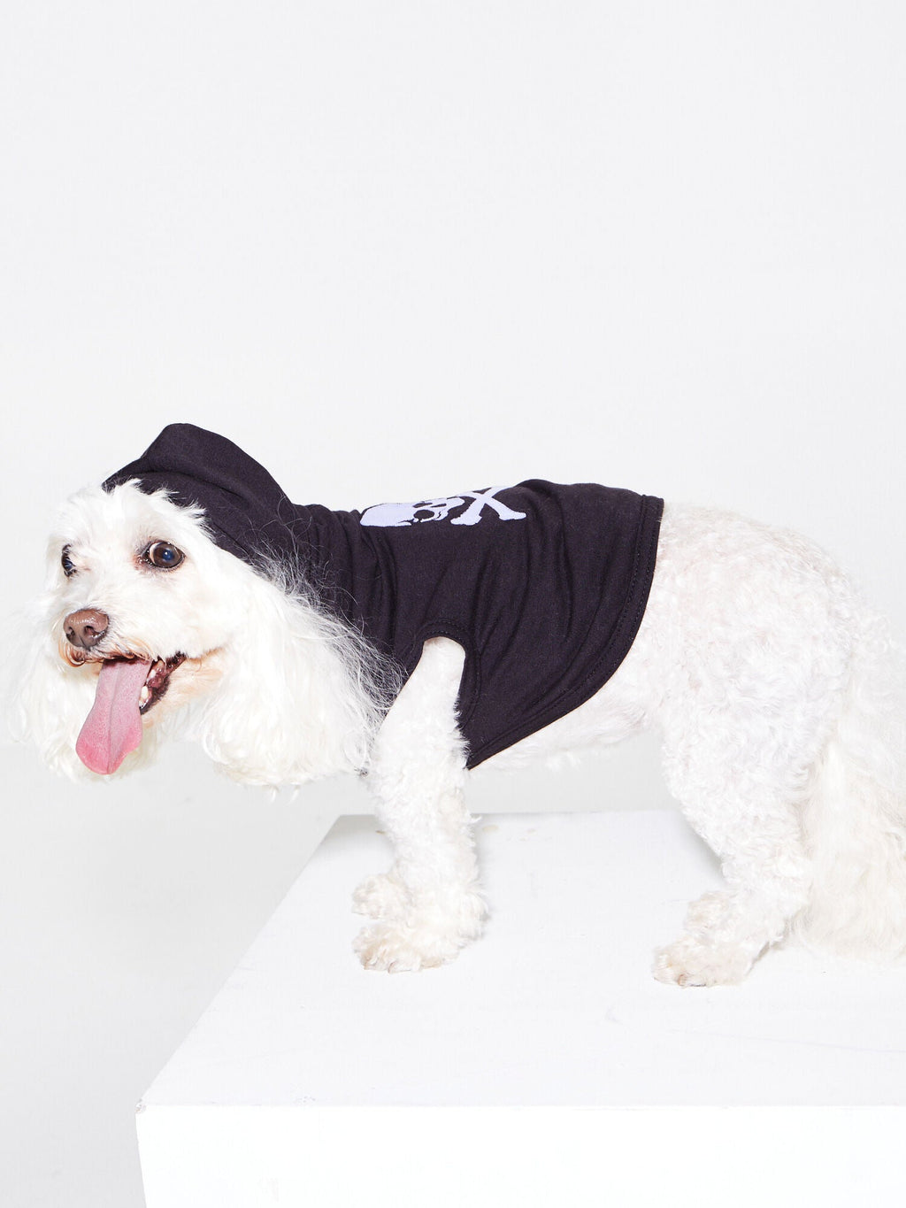 DOG SWEATER BLACK